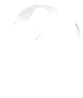 Emanuel Elemental – Explorando los Secretos de la Física y Química